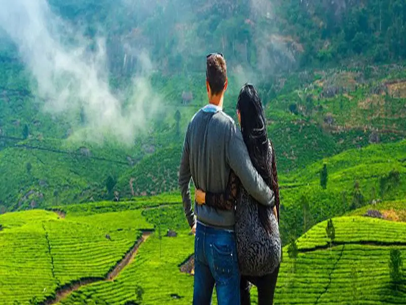 munnar tour package